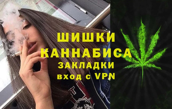 тгк Касимов