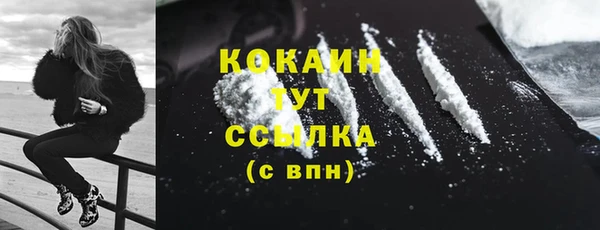 тгк Касимов