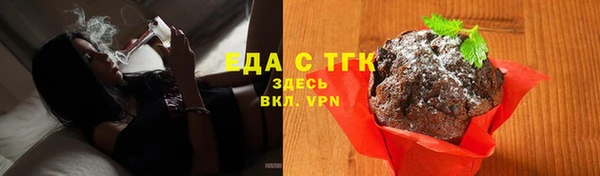 тгк Касимов