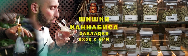 тгк Касимов
