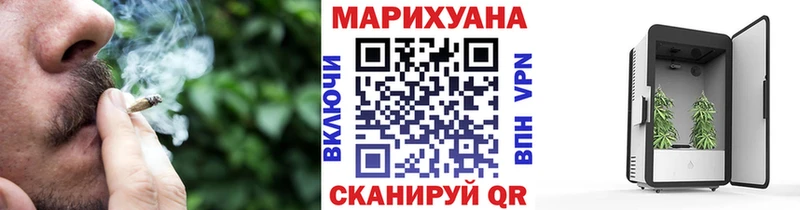 Купить где  Орск  Бошки марихуана сатива 